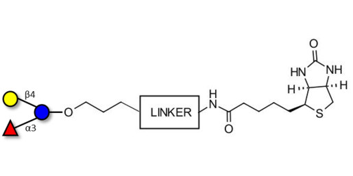 3-Fucosyllactose (3-FL) linked to biotin with cleavable linker (Linker-CLBT A)