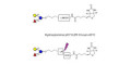 3-Fucosyllactose (3-FL) linked to biotin with cleavable linker (Linker-CLBT A)