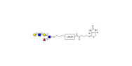 Lacto-N-fucopentaose V...