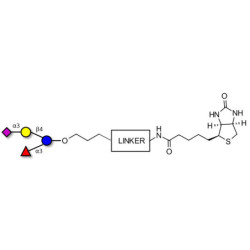 3’-Sialyl-3-Fucosyllactose linked to biotin with cleavable linker (Linker-CLBT A)
