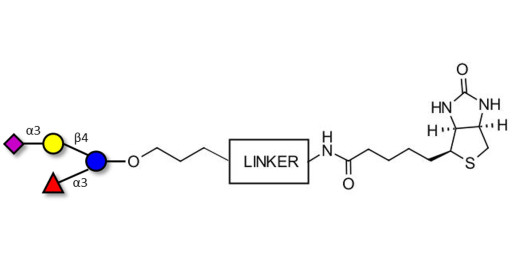3’-Sialyl-3-Fucosyllactose linked to biotin with cleavable linker (Linker-CLBT A) - GLY063 ; F-SL