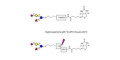 3’-Sialyl-3-Fucosyllactose linked to biotin with cleavable linker (Linker-CLBT A) - GLY063 ; F-SL