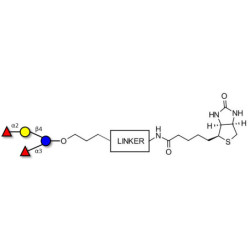 Blood group B pentaose linked to biotin with cleavable linker (Linker-CLBT A)