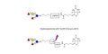 Blood group B pentaose linked to biotin with cleavable linker (Linker-CLBT A)
