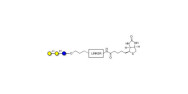 Isoglobotriose (iGb3)...
