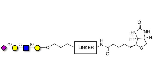 Sialylated tetraose type 1 linked to biotin with cleavable linker (Linker-CLBT A)
