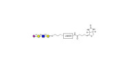 Sialylated tetraose type 1...