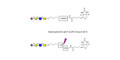 Sialylated tetraose type 1 linked to biotin with cleavable linker (Linker-CLBT A)