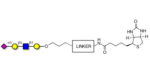 Sialylated tetraose type 2 linked to biotin with cleavable linker (Linker-CLBT A)