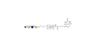 Sialylated tetraose type 2...