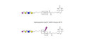Sialylated tetraose type 2 linked to biotin with cleavable linker (Linker-CLBT A)