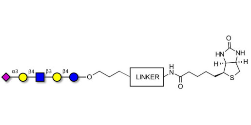 LS-Tetrasaccharide d (LSTd)  linked to biotin with cleavable linker (Linker-CLBT A) - Sialyl-lacto-N-neotetraose d ; SLNnT-d