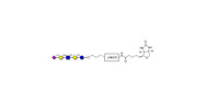 LS-Tetrasaccharide d (LSTd)...