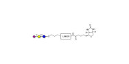 2,6'-Sialyllactose (6'-SL)...