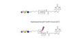 2,6'-Sialyllactose (6'-SL) linked to biotin with cleavable linker (Linker-CLBT A) - 6'-SL ; N-Acetylneuramin-lactose
