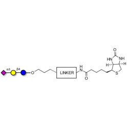 3'-Sialyllactose (3'-SL) / GM3 Ganglioside oligosaccharide linked to biotin with cleavable linker (Linker-CLBT A)