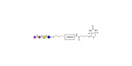 GD3 Ganglioside...