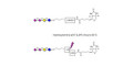 GD3 Ganglioside oligosaccharide / Disialyl lactose (DSL) linked to biotin with cleavable linker (Linker-CLBT A) - Disialyl lactose ;DS-L