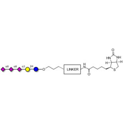 GT3 Ganglioside oligosaccharide linked to biotin with cleavable linker (Linker-CLBT A)