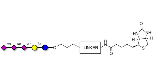 GT3 Ganglioside oligosaccharide linked to biotin with cleavable linker (Linker-CLBT A) - Trisialyl lactose 