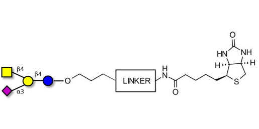 GM2 Ganglioside oligosaccharide linked to biotin with cleavable linker (Linker-CLBT A)