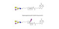 GM2 Ganglioside oligosaccharide linked to biotin with cleavable linker (Linker-CLBT A)