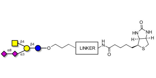 GD2 Ganglioside oligosaccharide linked to biotin with cleavable linker (Linker-CLBT A) - GLY094-OAP