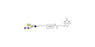 GD2 Ganglioside...