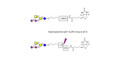 GD2 Ganglioside oligosaccharide linked to biotin with cleavable linker (Linker-CLBT A) - GLY094-OAP