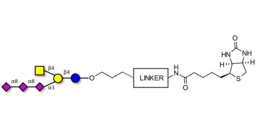 GT2 Ganglioside oligosaccharide linked to biotin with cleavable linker (Linker-CLBT A)