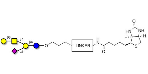 GM1a Ganglioside oligosaccharide linked to biotin with cleavable linker (Linker-CLBT A) - GLY096-OAP