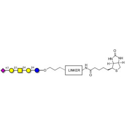 GM1b Ganglioside oligosaccharide linked to biotin with cleavable linker (Linker-CLBT A)