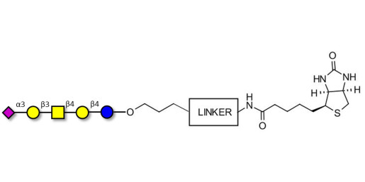 GM1b Ganglioside oligosaccharide linked to biotin with cleavable linker (Linker-CLBT A)