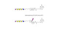 GM1b Ganglioside oligosaccharide linked to biotin with cleavable linker (Linker-CLBT A)