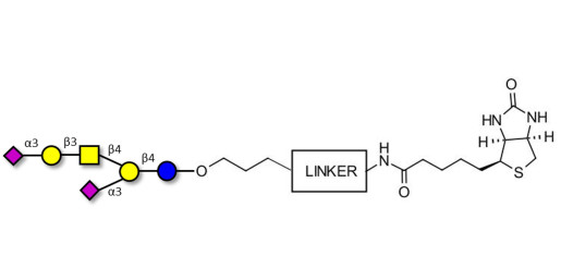 GD1a Ganglioside oligosaccharide linked to biotin with cleavable linker (Linker-CLBT A)