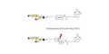 GD1a Ganglioside oligosaccharide linked to biotin with cleavable linker (Linker-CLBT A)