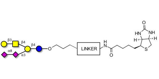 GD1b Ganglioside oligosaccharide linked to biotin with cleavable linker (Linker-CLBT A)