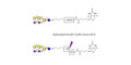 GD1b Ganglioside oligosaccharide linked to biotin with cleavable linker (Linker-CLBT A)