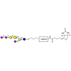 GT1a Ganglioside oligosaccharide linked to biotin with cleavable linker (Linker-CLBT A)