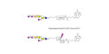 GT1a Ganglioside oligosaccharide linked to biotin with cleavable linker (Linker-CLBT A)