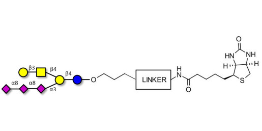 GT1c Ganglioside oligosaccharide linked to biotin with cleavable linker (Linker-CLBT A)