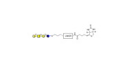 Asialo GM1 Ganglioside...