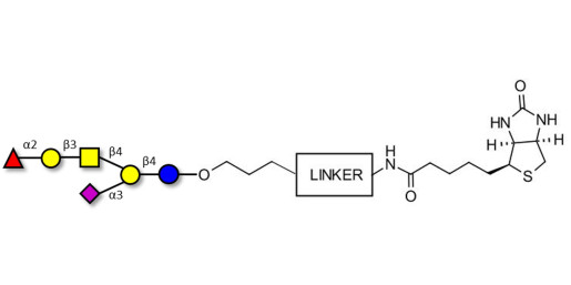 Fucosyl GM1 Ganglioside oligosaccharide linked to biotin with cleavable linker (Linker-CLBT A)