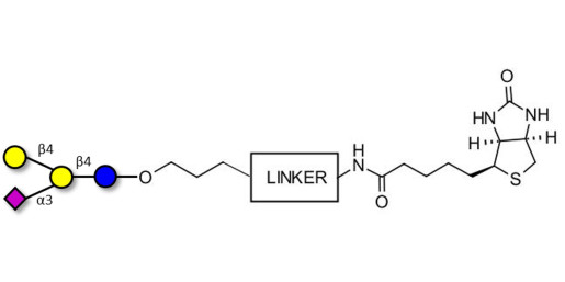 GM2 Ganglioside oligosaccharide analogue linked to biotin with cleavable linker (Linker-CLBT A)