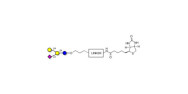 GM2 Ganglioside...