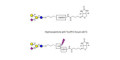 GM2 Ganglioside oligosaccharide analogue linked to biotin with cleavable linker (Linker-CLBT A)