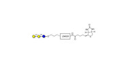 Globotriose (Gb3) linked to...