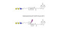 Globotriose (Gb3) linked to biotin with cleavable linker (Linker-CLBT A) - Pk antigen