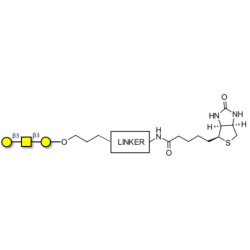 Core type 4 (Gb5 triose core structure) linked to biotin with cleavable linker (Linker-CLBT A)