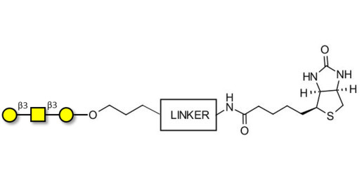 Core type 4 (Gb5 triose core structure) linked to biotin with cleavable linker (Linker-CLBT A) - GLY126-AP